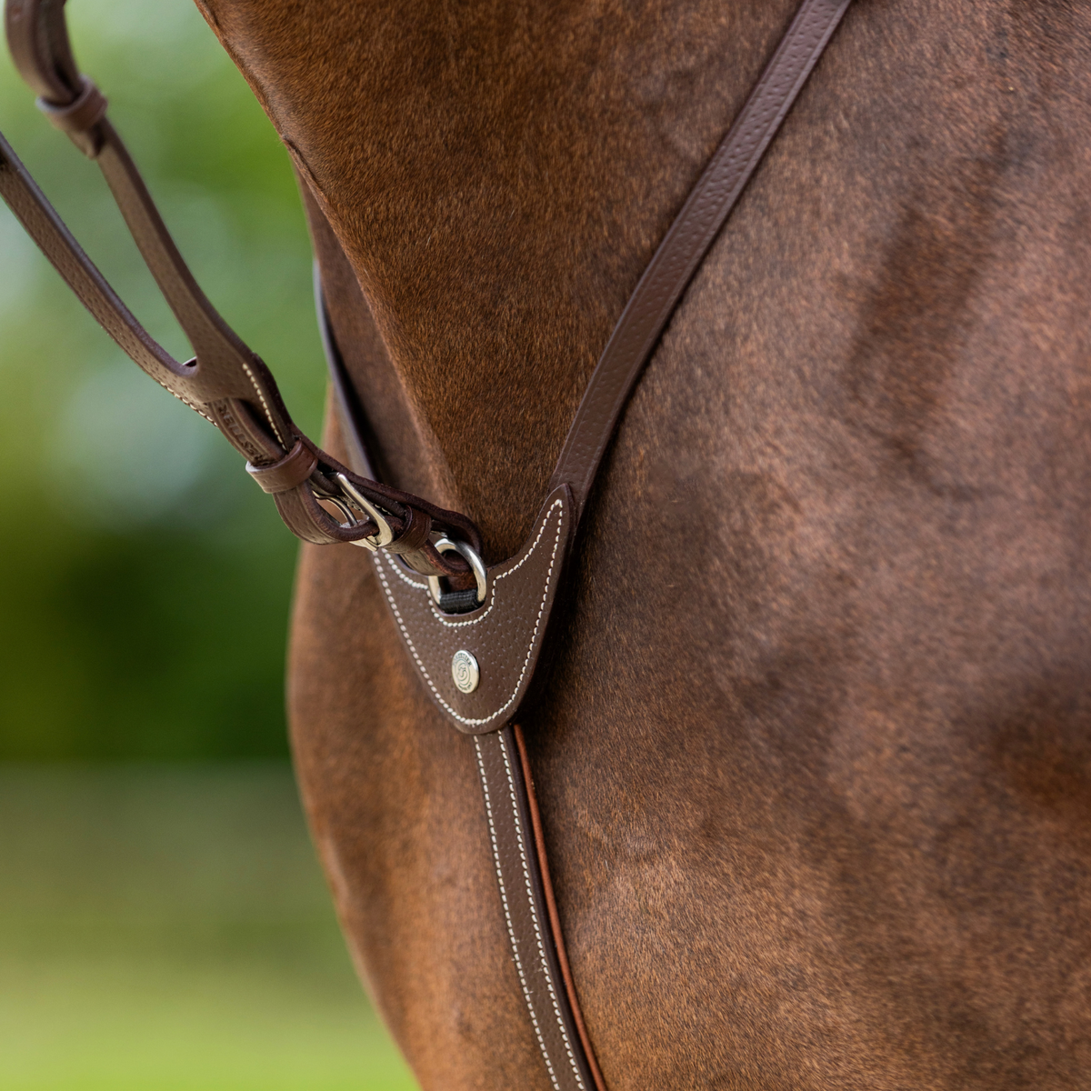 Martingale à Anneaux