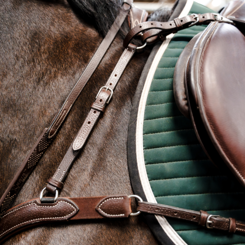 Collier de chasse 5 points