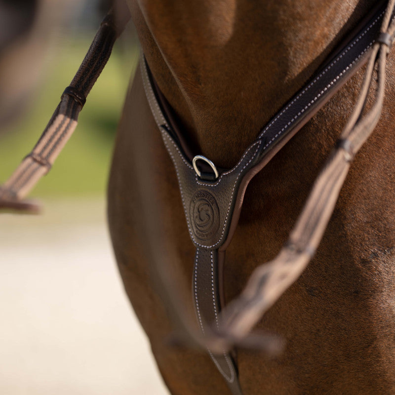 Collier de chasse 3 points