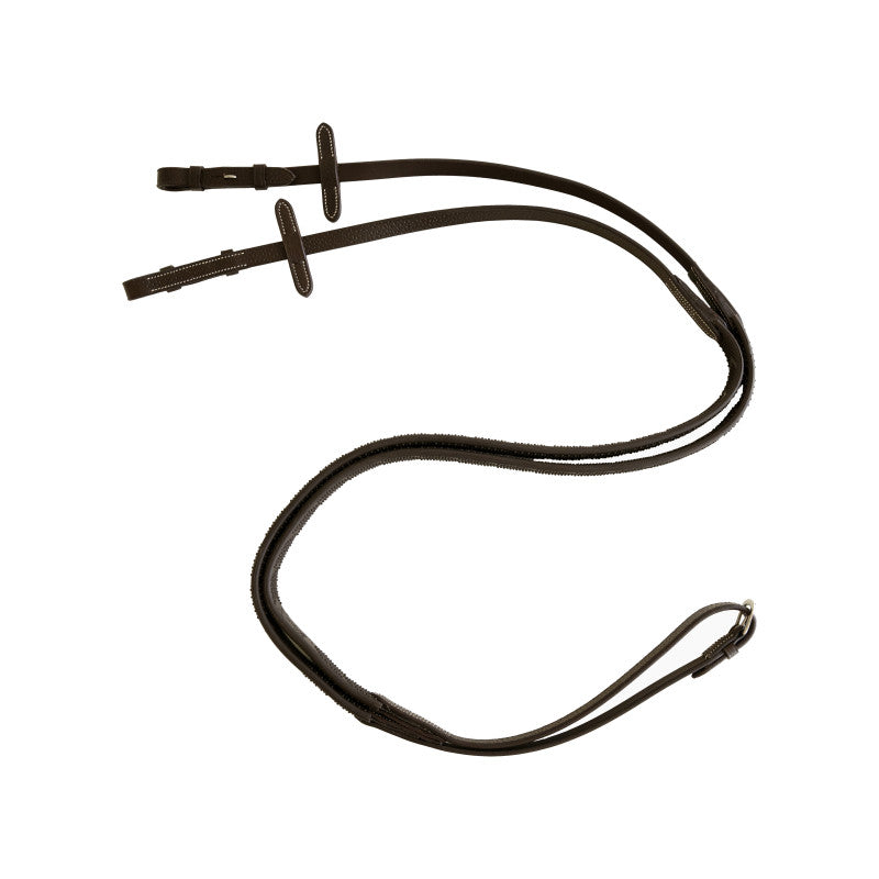 Rênes