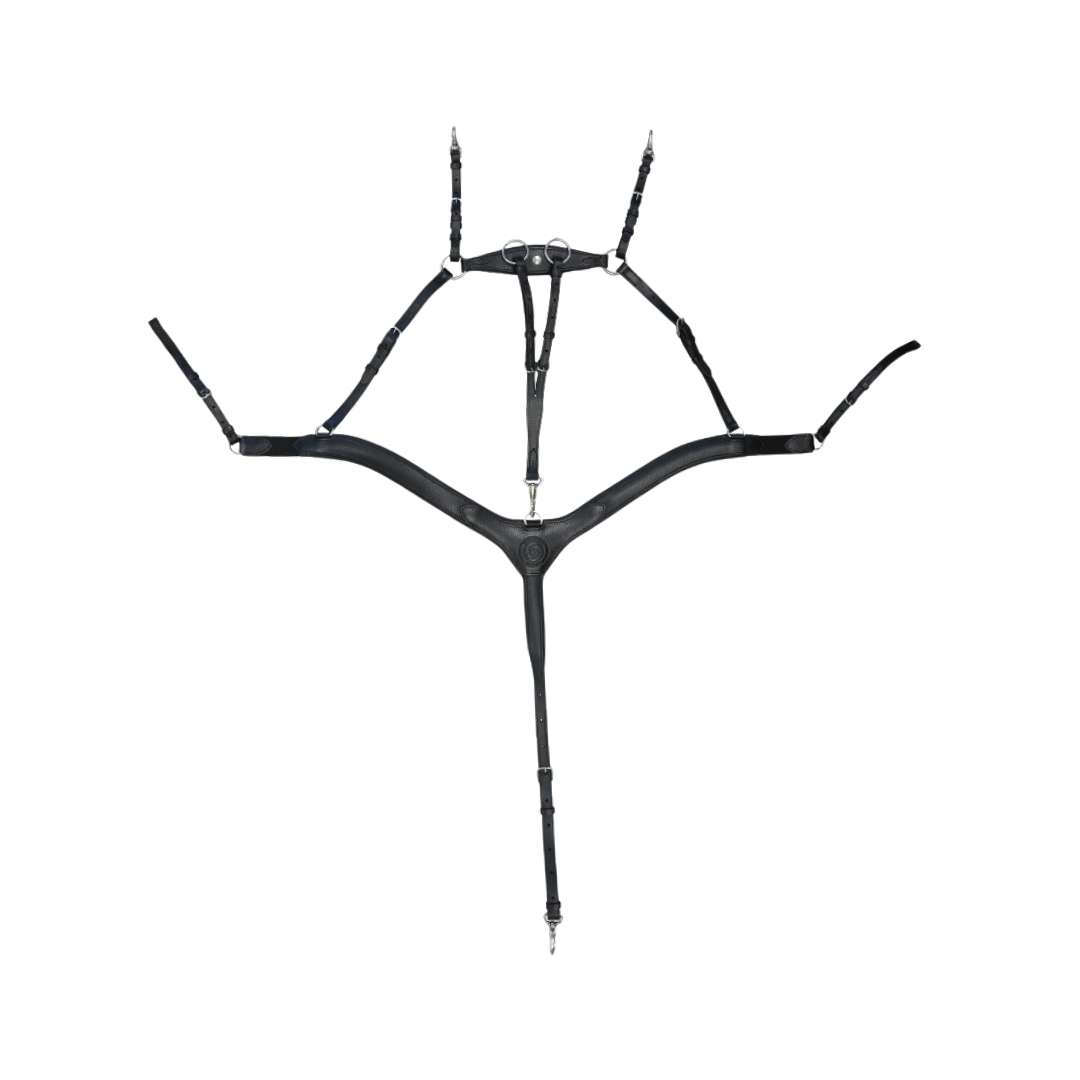 Collier de chasse 5 points