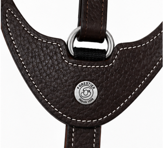Martingale à Anneaux