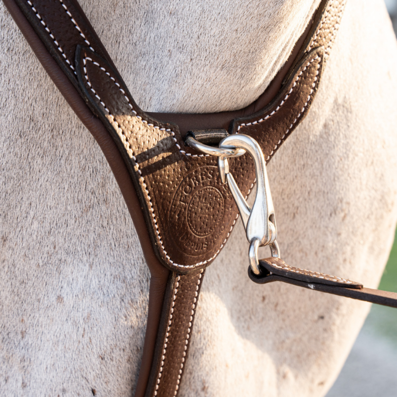 Collier de chasse 3 points