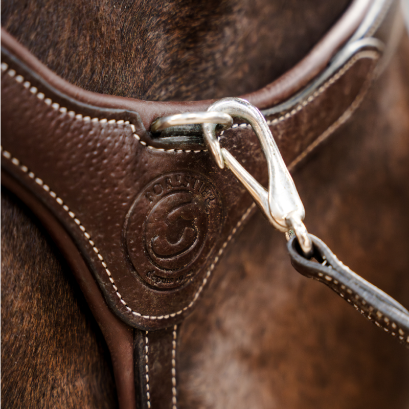 Collier de chasse 5 points