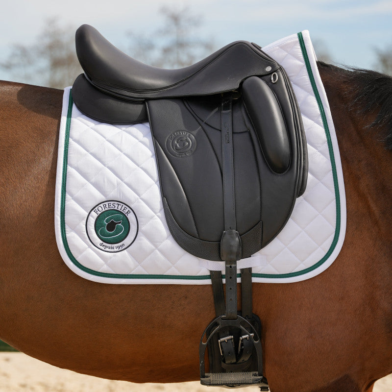 Etrivières dressage
