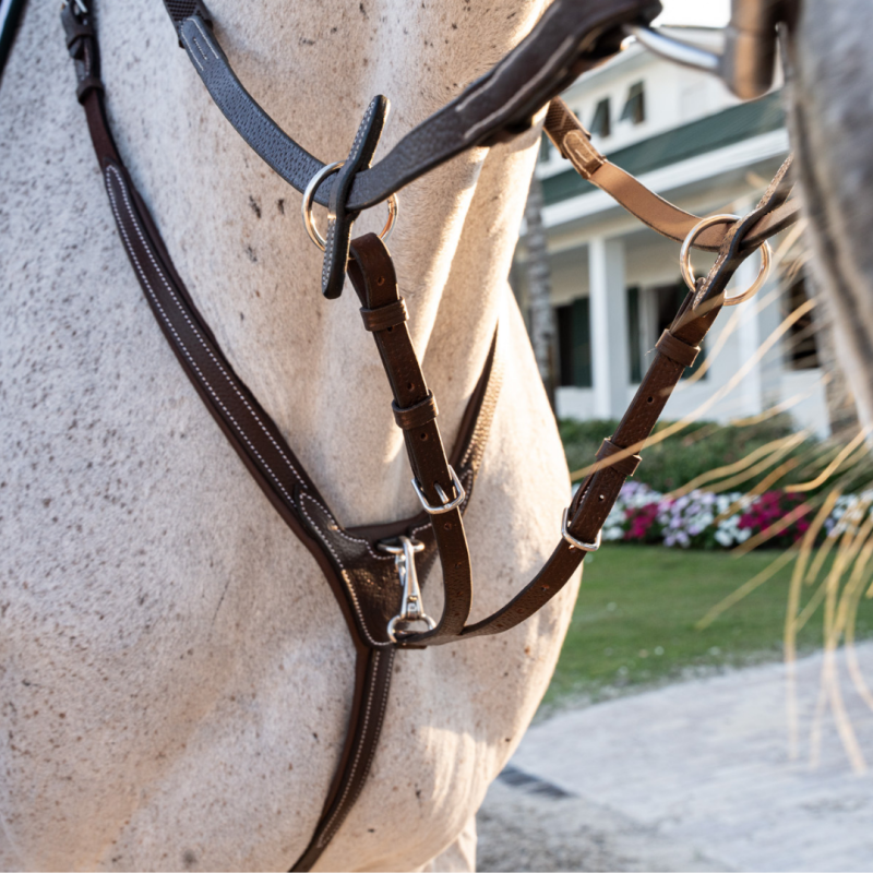 Fourche de martingale mousqueton