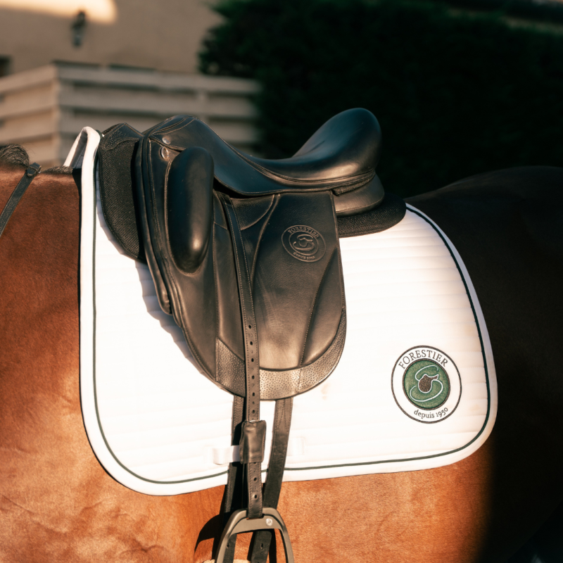 Tapis dressage