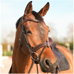 Pack french bridle & reins